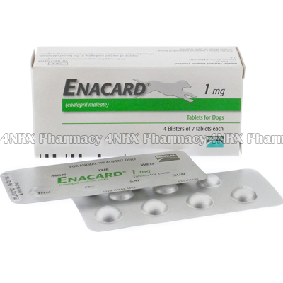 Enacard (Enalapril Maleate)